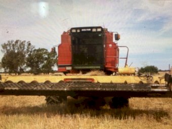 23ft Knuckey Pea Plucker/ Canola Pickup