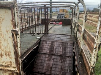 Stock Crate 17 ft x 7ft 6