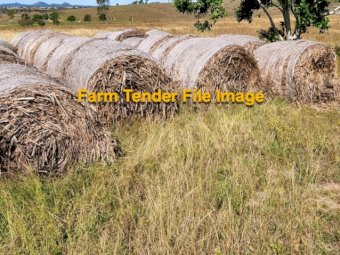 WANTED Old Hay rounds for mulch.