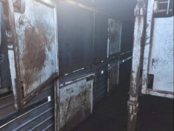 2001 Hino Medium Rigid Livestock Truck