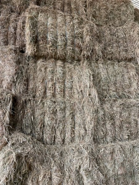 Organic certified Vetch and Oat Hay mix