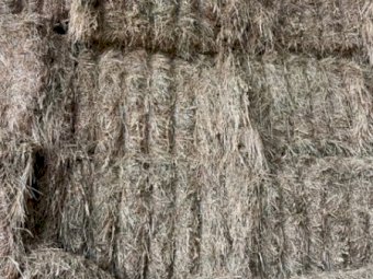 Organic certified Vetch and Oat Hay mix