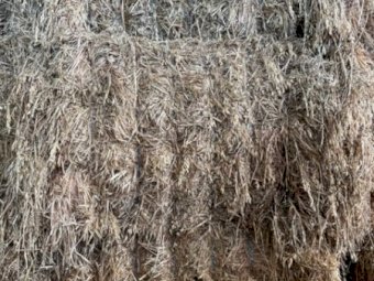 Organic certified Oaten Hay