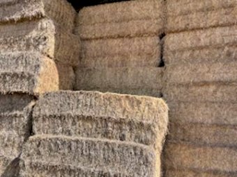 100 mt First cut Lucerne