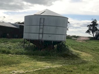 20 tonne McKenzie Field Bin
