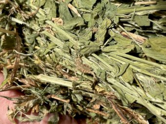 15-20mt Lucerne Hay 720kg 8x4x3 Bales