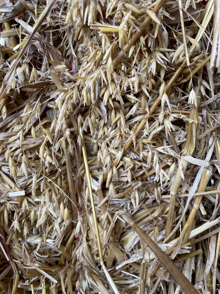 12mt Oaten Hay 650kg 8x4x3 Bales