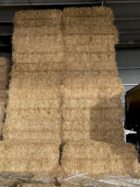 35mt Oaten Straw 500-550kg 8x4x3 Bales