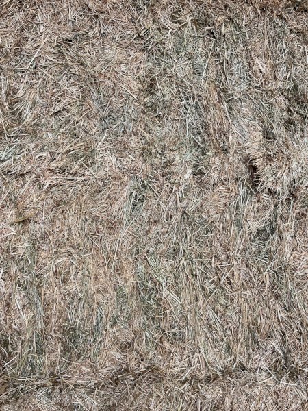 175mt Pasture Hay 680kg 8x4x3 Bales