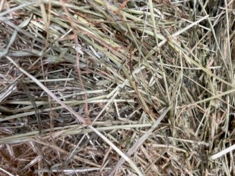 175mt Pasture Hay 680kg 8x4x3 Bales