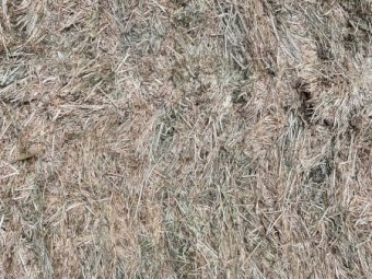 175mt Pasture Hay 680kg 8x4x3 Bales