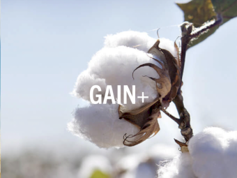 Gain+s 11-18-0-10 - Ex Geelong