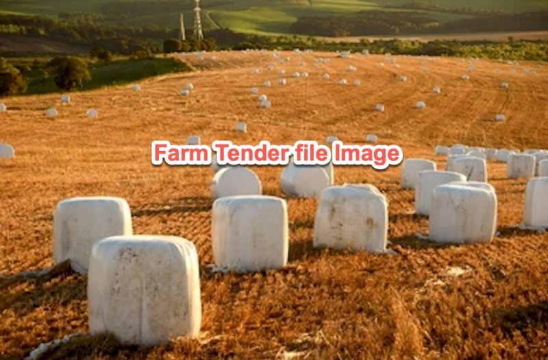 200 Rolls Barley Lucerne Blend Haylage Rolls