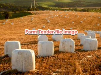 200 Rolls Barley Lucerne Blend Haylage Rolls