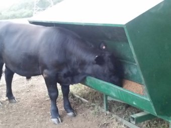 Arrow Farm Self Feeders 2.5 tonne x 2