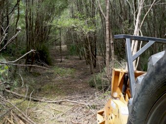 Berti ECF 200 Forest Mulcher