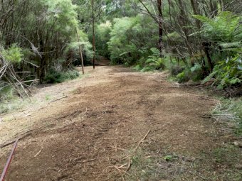 Berti ECF 200 Forest Mulcher