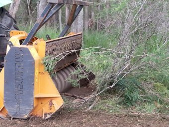 Berti ECF 200 Forest Mulcher