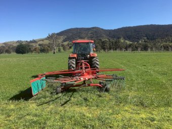 Taarup 9146 Hay Rake