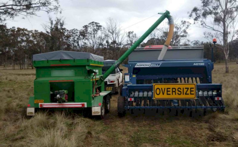 2t Grouper 50/50 Split Bin