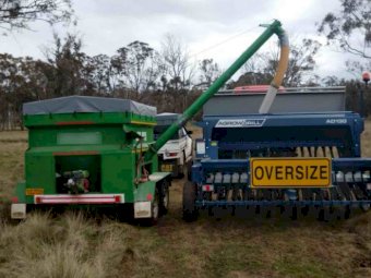 2t Grouper 50/50 Split Bin