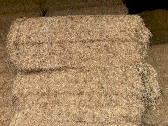 105mt Lucerne Hay 565kg 8x4x3 Bales
