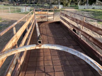 Portable Foot Rot Trough