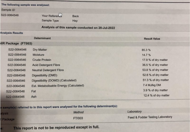 Vetch Hay 8x4x3 Bales