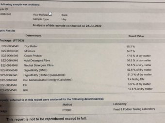 Vetch Hay 8x4x3 Bales