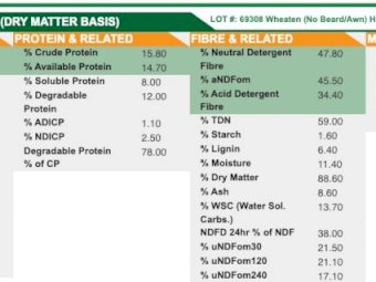 Wheaten (Beardless)and Lucerne Mix Hay