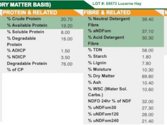 250mt Lucerne Hay 500kg 8x4x3 Bales