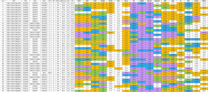 Glendemar MPM Ram Sale - Wed 5th of Oct