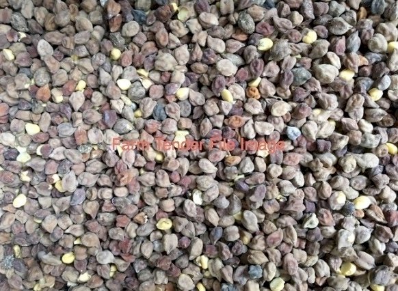 5-6mt Canola & Lentil Feed Mix