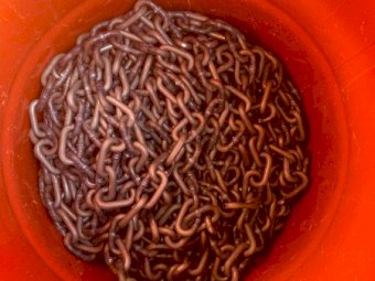 13mm Marine Chain x 57 metres