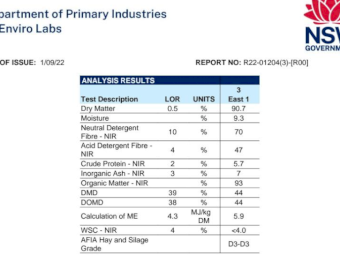 500mt Oaten Hay 600-700kg 8x4x3 Bales