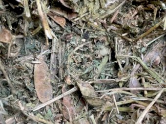 75mt Vetch Hay 500-520kg 8x4x3 Bales (150 Bales)