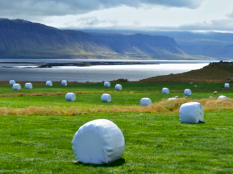 Bulldog Silage Stretch Film