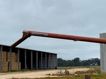 Wheatheart 1071 Swing Away Auger