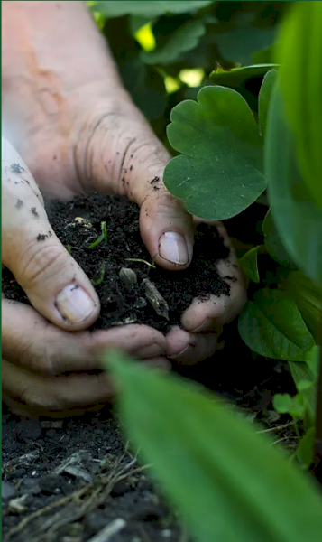 Worm Hit pellets - 500kg