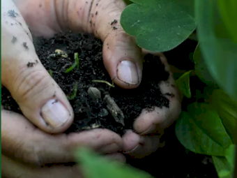 Worm Hit pellets - 500kg