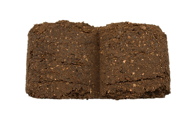 Worm Hit Bricks (8 pack)