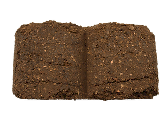 Worm Hit Bricks (8 pack)