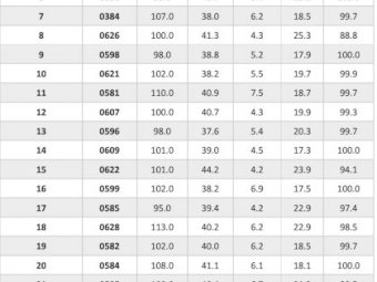 19 flock Rams   AFRINO.   Dual Purpose breed