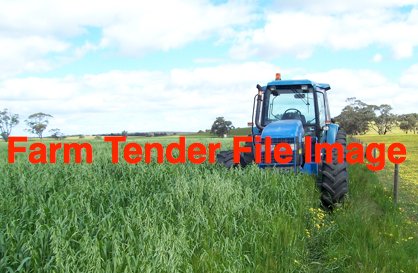 EOI Standing Oaten Hay