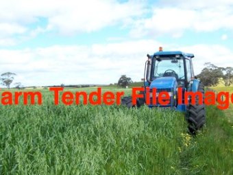 EOI Standing Oaten Hay