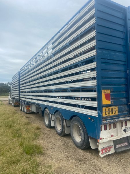 1999 Byrne B-Trailer & 2003 Hastings A B D Stock Crates