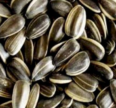 WANTED 1mt Grey Sunflower Seed