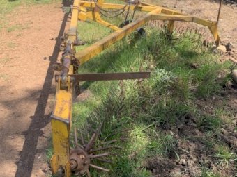 Phoenix Prickle Chain