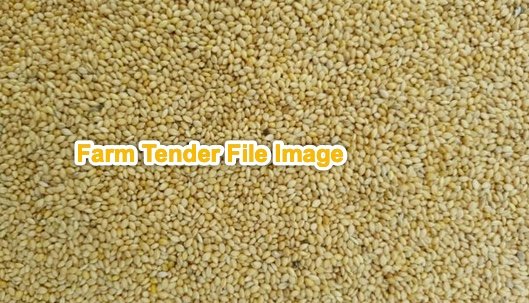 Shirohie Millet Seed