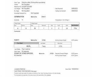 Shirohie Millet Seed